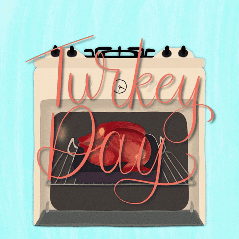 Turkey Day Bird Being Cooked In Oven GIF