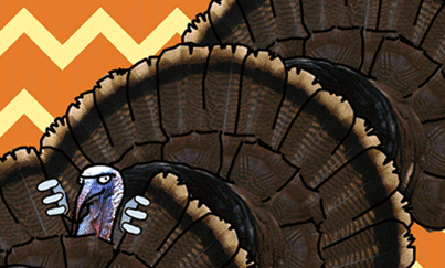 Turkey Day Birds Peeking Behind Feathers GIF