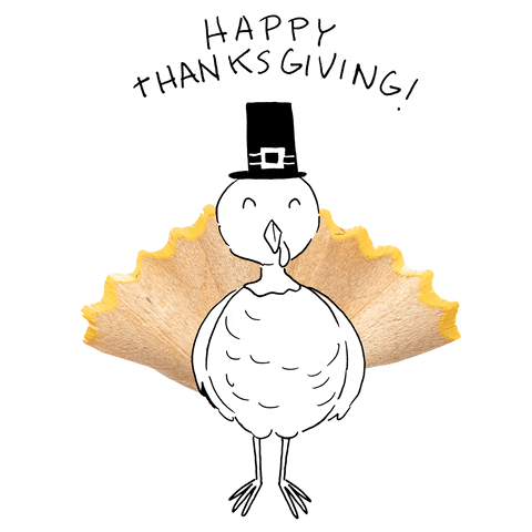 Turkey Day Cartoon Bird GIF