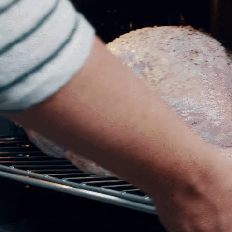 Turkey Day Cooking Bird In Oven GIF
