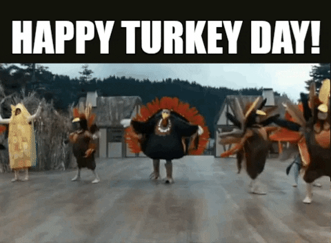 Turkey Day Men Wearing Bird Costumes GIF