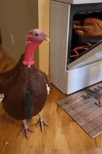 Turkey in Front of Stove With Hot Wife Doormat