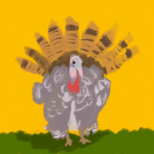 Turkey Spreading Feathers