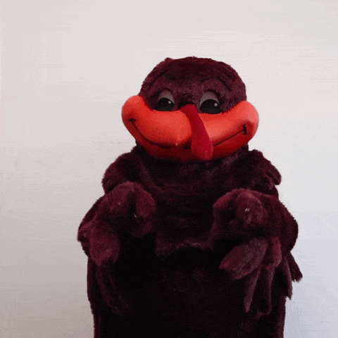 Turkey Stuffed Animal With Red Beak