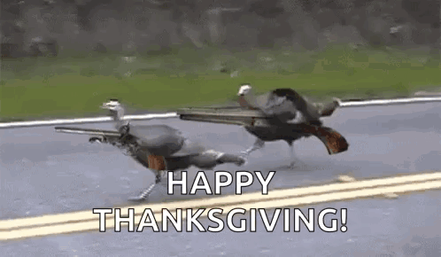 Turkeys Running Down Road With Guns