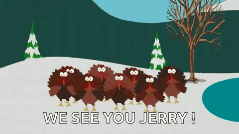 Turkeys Standing in Snow Saying We See You Jerry