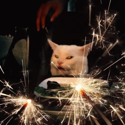 Turkish Angora Cat Firecracker GIF