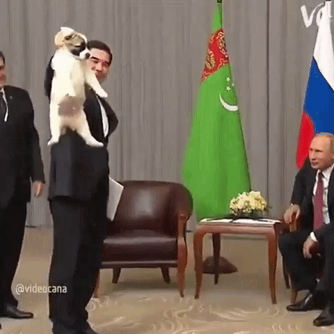 Turkmenistan President Gurbanguly With Vladimir GIF