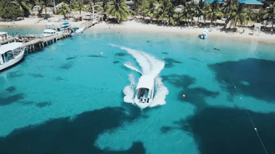 Turks and Caicos Islands diving gif.