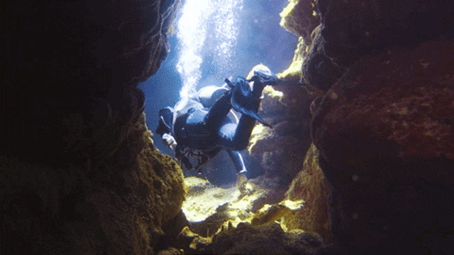 Turks and Caicos scuba diving gif.