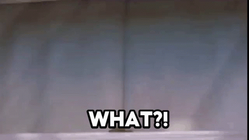 Shocked Red Panda What Turning Red GIF