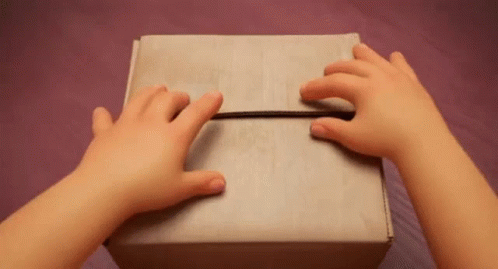 Meilin Lee Opening Box Turning Red GIF