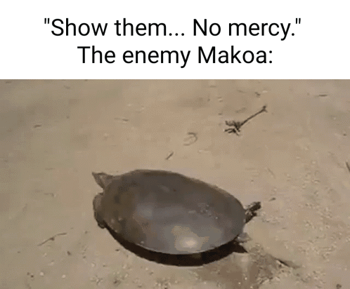 Turtle Crawling Out Of Sand Hole Show Them No Mercy Enemy Makoa GIF