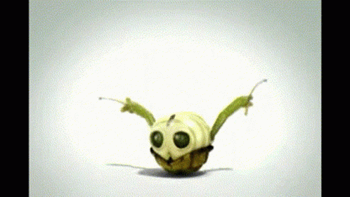 Turtle Dancing While Holding Drumsticks GIF