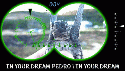 Turtle Flipping Dreaming GIF