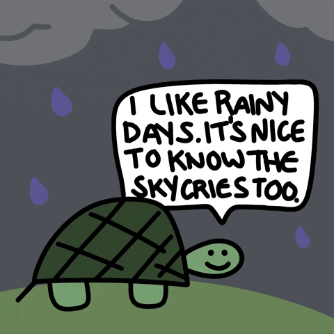 Turtle Likes Rainy Tuesday GIF