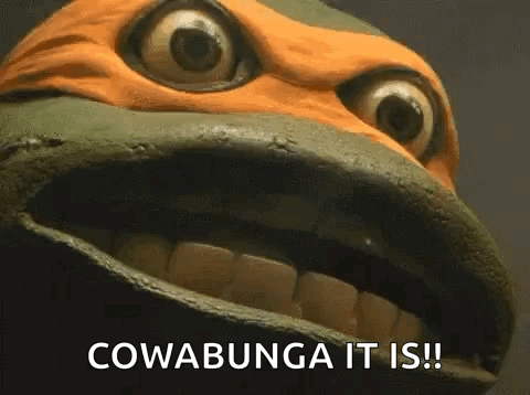Turtle Mouth Open Cowabunga It Is GIF