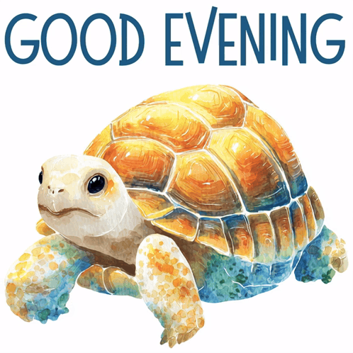 Turtle Painting Saying Good Evening