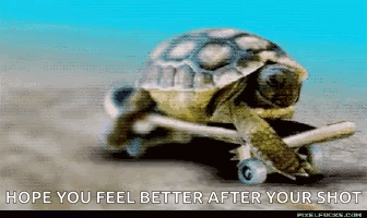 Turtle Riding Skateboard Hope You Feel Better