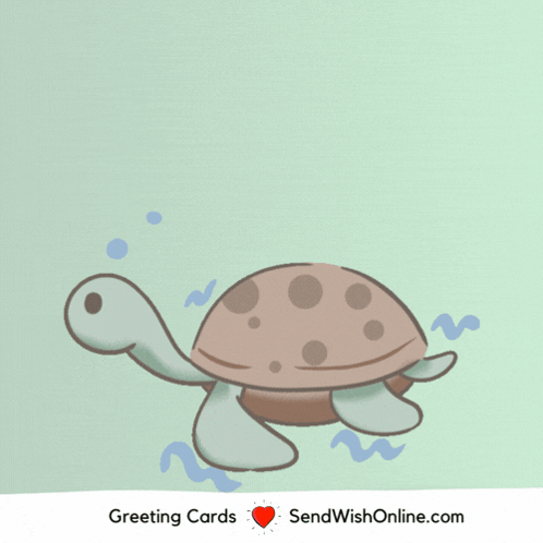 Turtle Saying Sorry For Late GIF