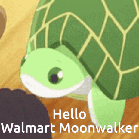 Turtle Slow Travel To Walmart Funny GIF
