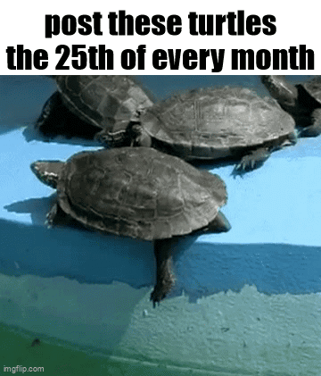 Turtle Statue Sitting on Table