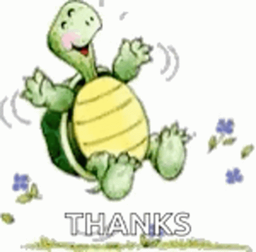 Turtle Tuesday Jumping For Joy GIF