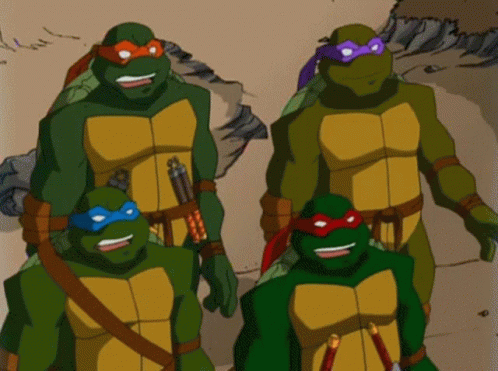 Turtle Tuesday Naughty Teenage Ninja Turtles GIF