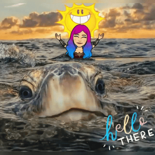 Turtle Tuesday Peeking Head Hello There GIF