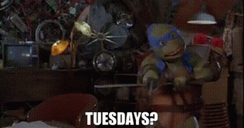 Turtle Tuesday Playful Teenage Ninja Turtles GIF