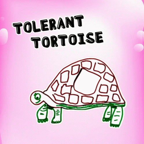 Turtle Tuesday Tolerant Tortoise Graphics Design GIF