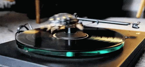 Turtle Tuesday Vinyl Record Player GIF