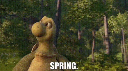 Turtle Verne Spring GIF