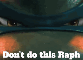 Turtle with Do Not Do This Raph