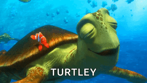 Turtle With Fish on Back Saying Turtley