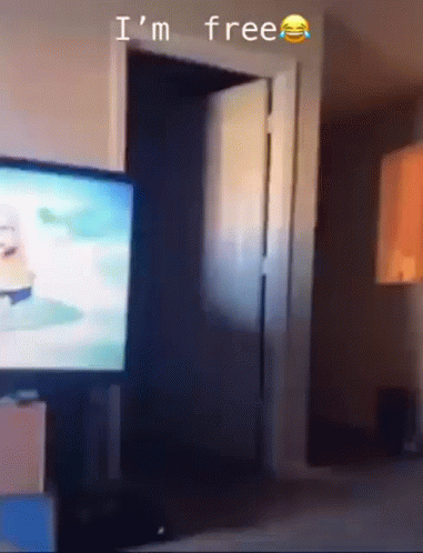 TV in Front of Free Door