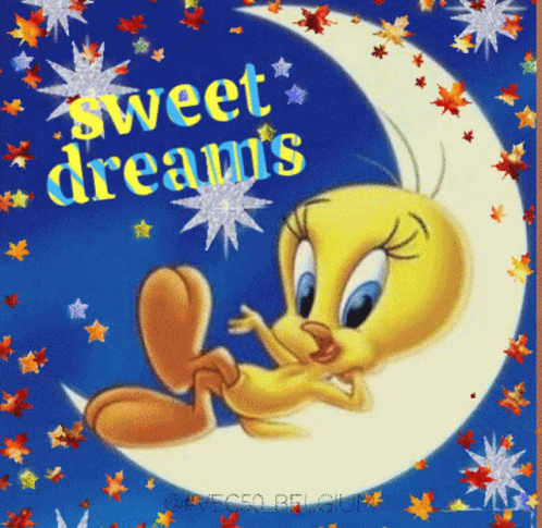Tweety Bird on Crescent Moon Saying Sweet Dreams