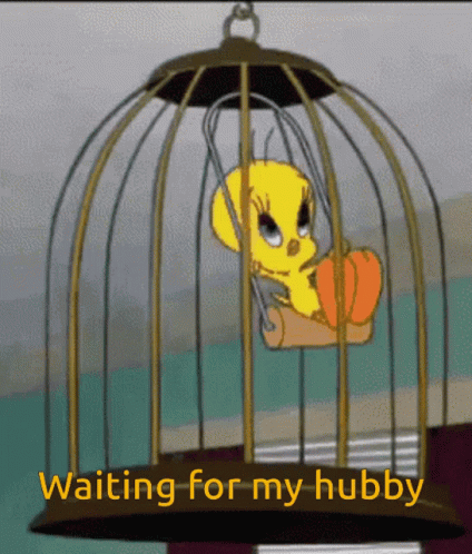 Tweety Bird Sitting in Cage Waiting for My Hubby
