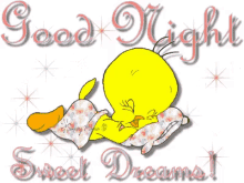 Tweety Bird Sleeping Sweet Dreams GIF
