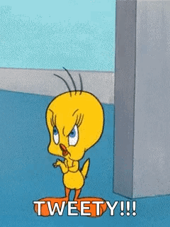 Tweety From Looney Tunes Is Standing Next To A Wall And Says Tweety ! GIF