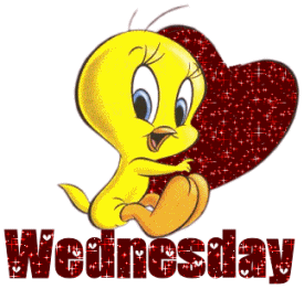 Tweety On Cute Wednesday GIF