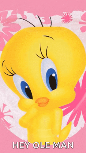 Tweety Saying Hey Ole Man