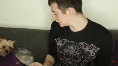 Twerking Dog By Man GIF