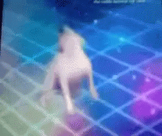 Twerking Dog In The Dance Floor GIF