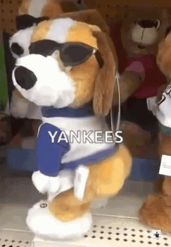 Twerking Dog Yankees GIF