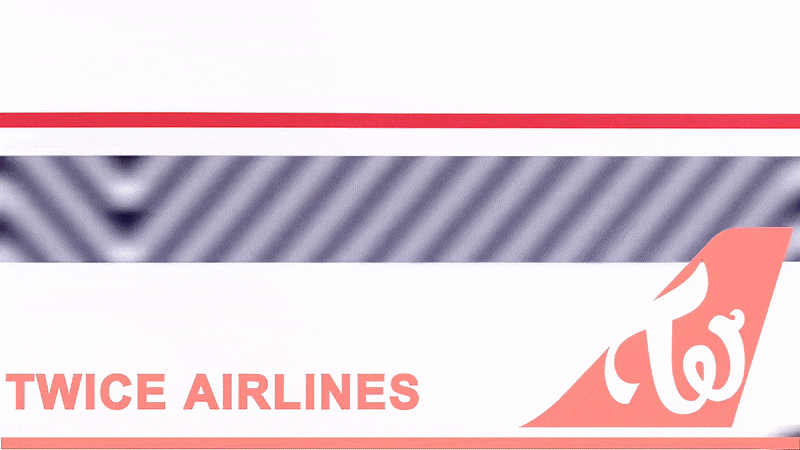 Twice Airlines Flight Attendant Tzuyu GIF