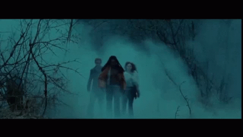 Twilight Foggy Walk GIF