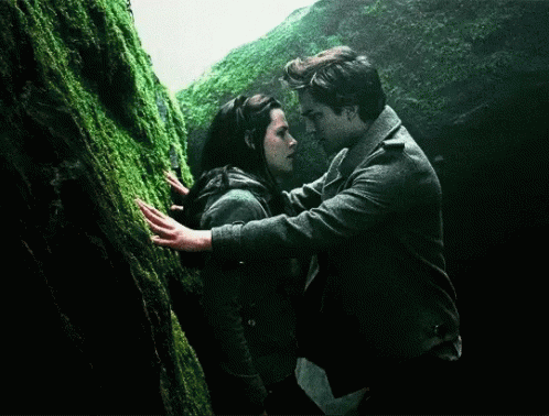 Twilight Romantic Encounter GIF