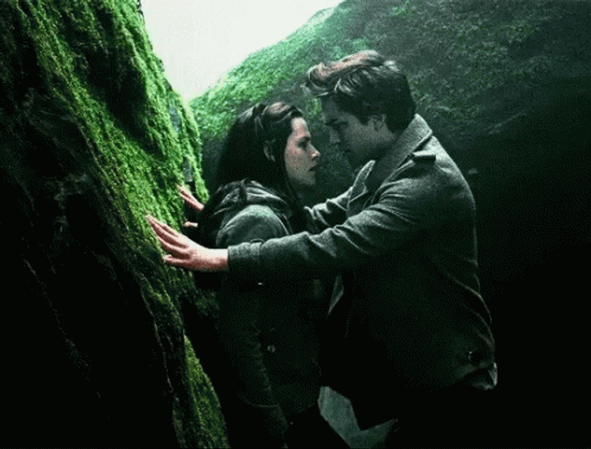 Twilight Romantic Encounter GIF