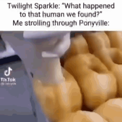 Twilight Sparkle Talking About That Human We Found